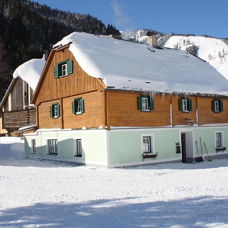 Ferienwohnung Schaupphof Donnersbachwald Exteriér fotografie